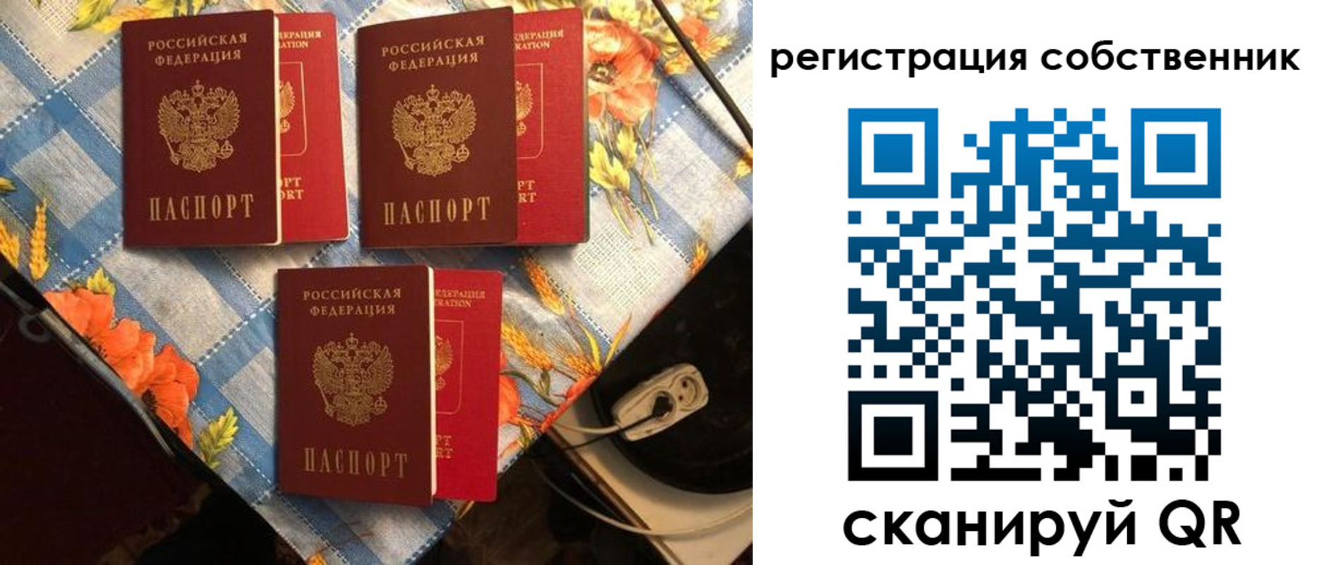 прописка в Ельне